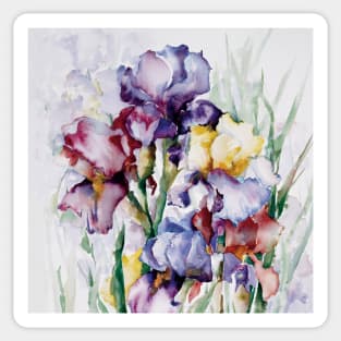 Iris Garden Watercolor Sticker